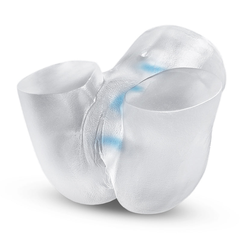 Fesse réaliste d'art transparente 2.45kg