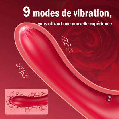 Vibrateur à succion Stimulateur clitoridien & mamelonnaire